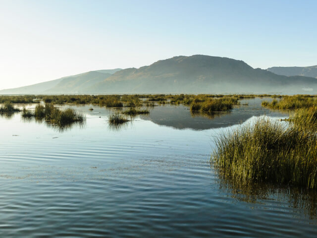 Meaning “Lake of lead-colored puma” in the Aymara language, Lake Titicaca occupies an important place in Inca mythology.