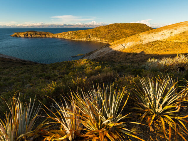 Isla del Sol is the sanctuary of several dozen Inca archaeological remains (15th century).