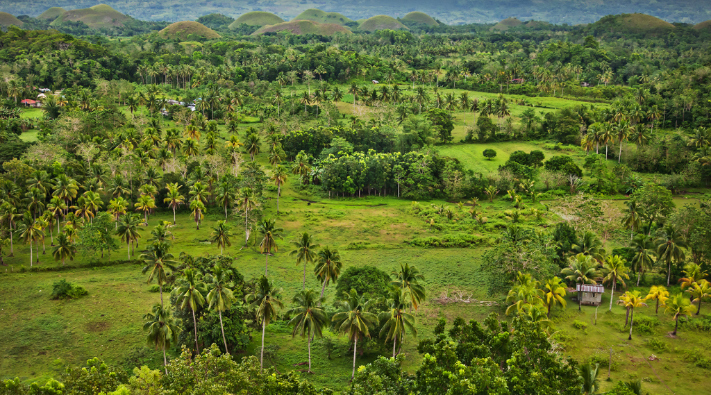 Chocolate Hills  Geology, Formation » Geology Science