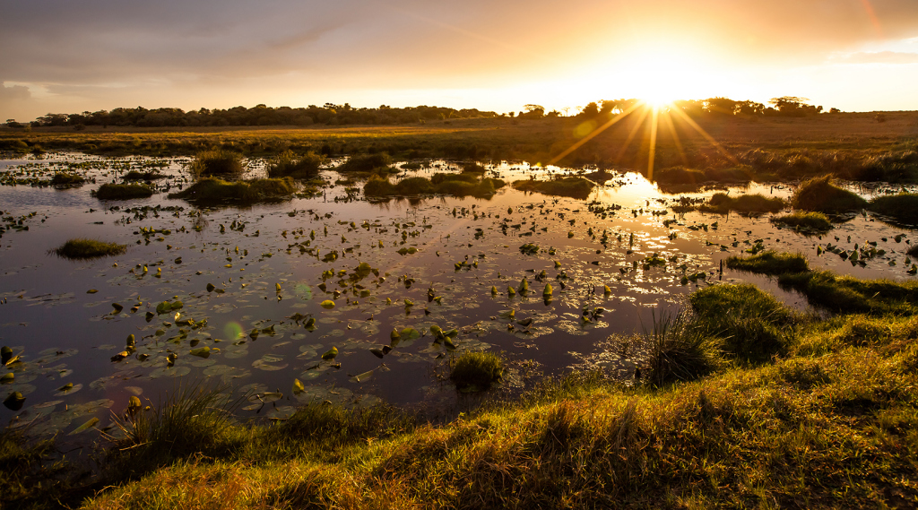 Isimangaliso Wetland Park Ootravels